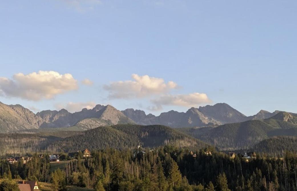 Apartament Zakopane Willa Hrube Parter Z Tarasem I Kominkiem Kültér fotó